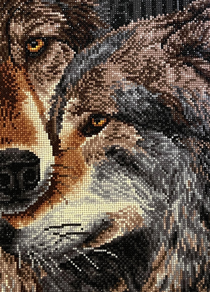 Muzzle Nuzzle Diamond Painting